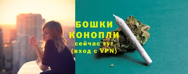 соль ск Осинники